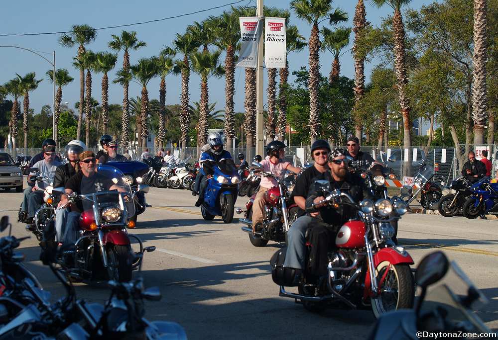 Motorcycles and Palms