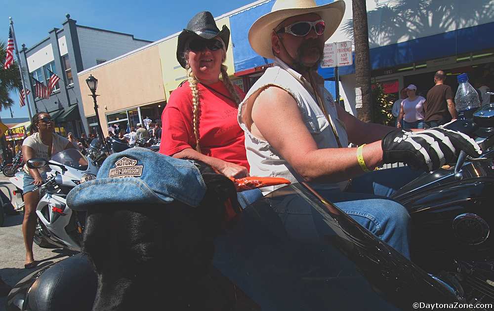Black Lab on Motorcycle