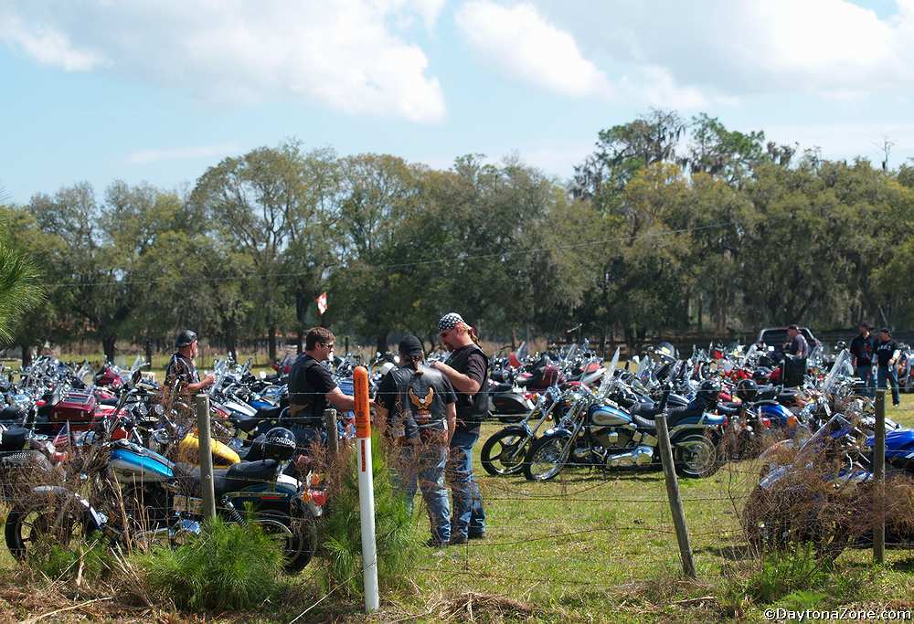 Parking in the Grass